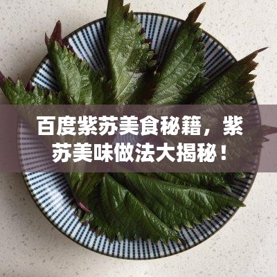 百度紫苏美食秘籍，紫苏美味做法大揭秘！