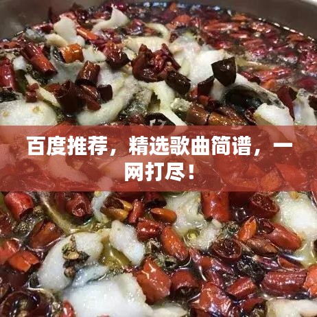 百度推荐，精选歌曲简谱，一网打尽！