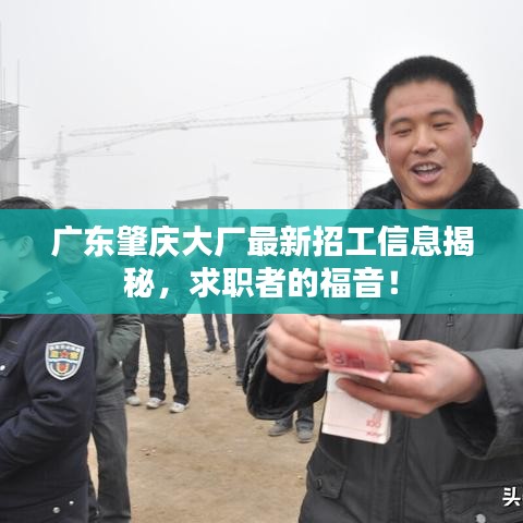 广东肇庆大厂最新招工信息揭秘，求职者的福音！