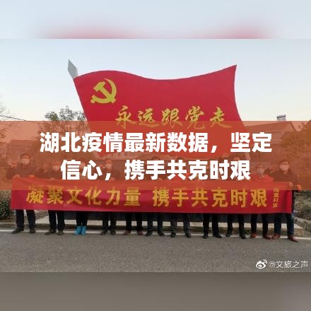 湖北疫情最新数据，坚定信心，携手共克时艰