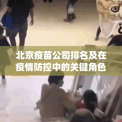 北京疫苗公司排名及在疫情防控中的关键角色