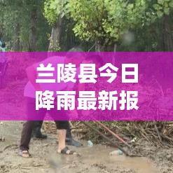 兰陵县今日降雨最新报告，关注天气变化，守护美好生活资讯速递