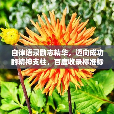 自律语录励志精华，迈向成功的精神支柱，百度收录标准标题。
