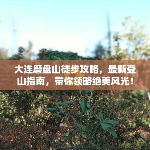 大连磨盘山徒步攻略，最新登山指南，带你领略绝美风光！