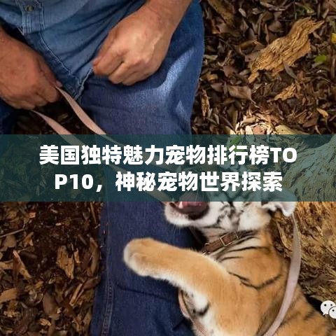 美国独特魅力宠物排行榜TOP10，神秘宠物世界探索