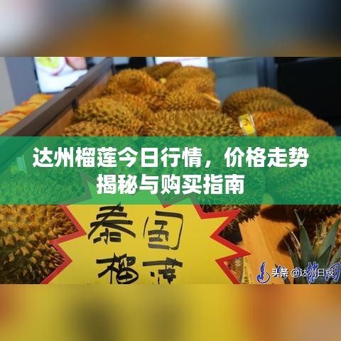 达州榴莲今日行情，价格走势揭秘与购买指南