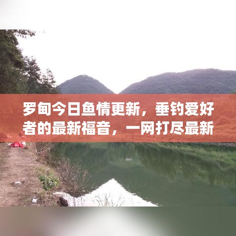 罗甸今日鱼情更新，垂钓爱好者的最新福音，一网打尽最新消息查询！