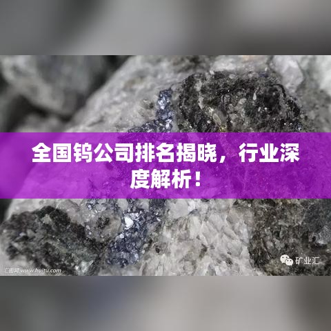全国钨公司排名揭晓，行业深度解析！