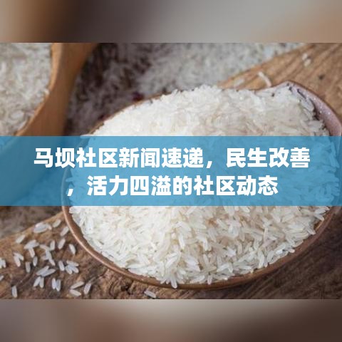马坝社区新闻速递，民生改善，活力四溢的社区动态