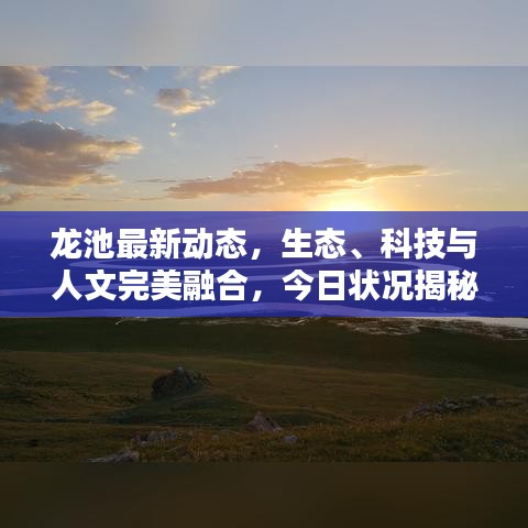 龙池最新动态，生态、科技与人文完美融合，今日状况揭秘！