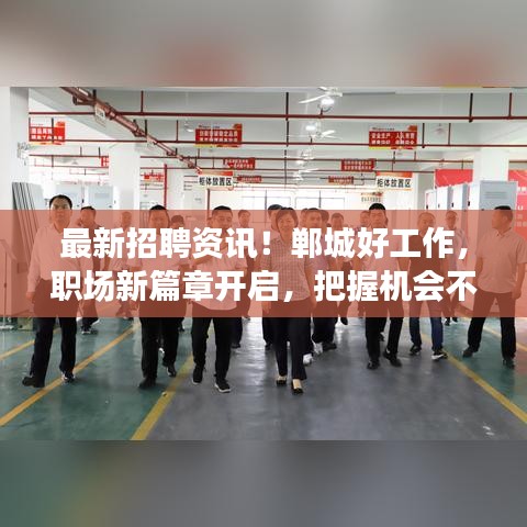 最新招聘资讯！郸城好工作，职场新篇章开启，把握机会不容错过（2024年）