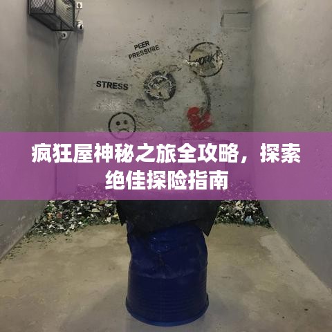 疯狂屋神秘之旅全攻略，探索绝佳探险指南
