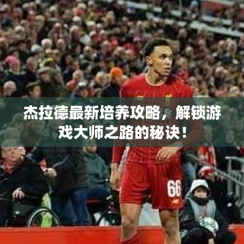 杰拉德最新培养攻略，解锁游戏大师之路的秘诀！