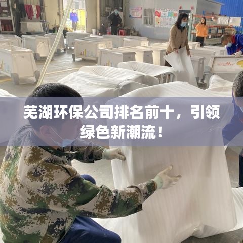 芜湖环保公司排名前十，引领绿色新潮流！
