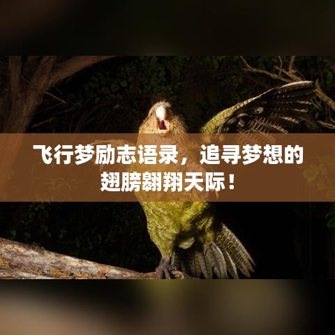 飞行梦励志语录，追寻梦想的翅膀翱翔天际！