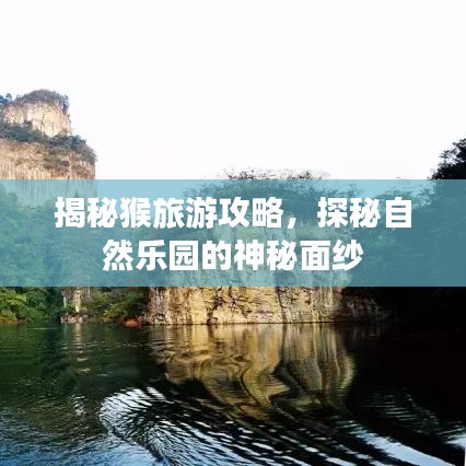 揭秘猴旅游攻略，探秘自然乐园的神秘面纱