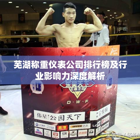 芜湖称重仪表公司排行榜及行业影响力深度解析