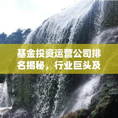 基金投资运营公司排名揭秘，行业巨头及策略优势概览