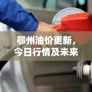 鄂州油价更新，今日行情及未来趋势分析