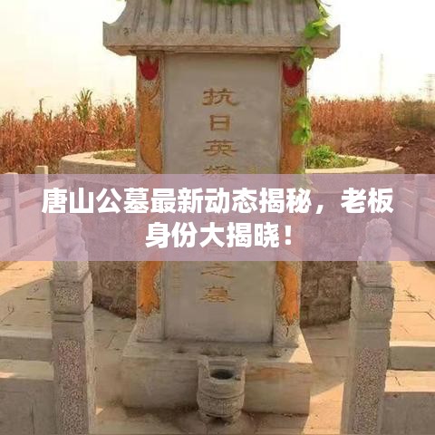 唐山公墓最新动态揭秘，老板身份大揭晓！