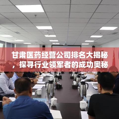 甘肃医药经营公司排名大揭秘，探寻行业领军者的成功奥秘！