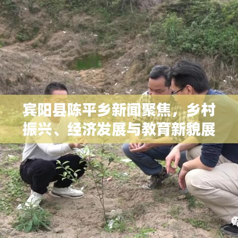 宾阳县陈平乡新闻聚焦，乡村振兴、经济发展与教育新貌展风采