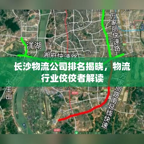 长沙物流公司排名揭晓，物流行业佼佼者解读