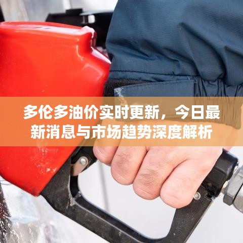 多伦多油价实时更新，今日最新消息与市场趋势深度解析