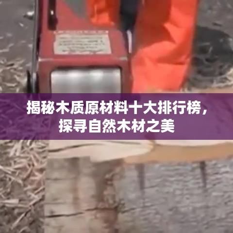 揭秘木质原材料十大排行榜，探寻自然木材之美