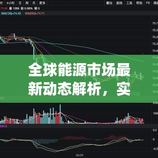 全球能源市场最新动态解析，实时国际油价表今日一览