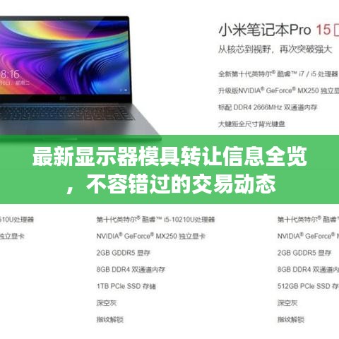 2025年5月6日 第5页