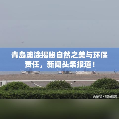 青岛滩涂揭秘自然之美与环保责任，新闻头条报道！