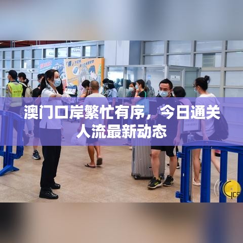 澳门口岸繁忙有序，今日通关人流最新动态