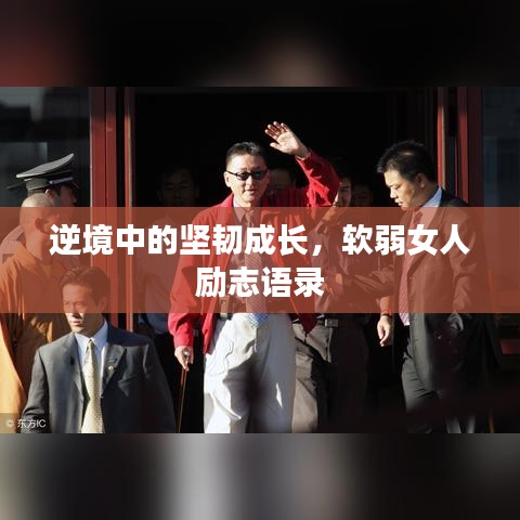 逆境中的坚韧成长，软弱女人励志语录