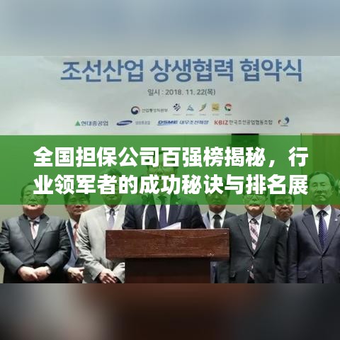 全国担保公司百强榜揭秘，行业领军者的成功秘诀与排名展露