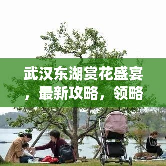 武汉东湖赏花盛宴，最新攻略，领略花的魅力之旅