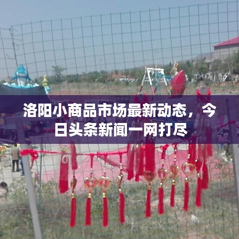 洛阳小商品市场最新动态，今日头条新闻一网打尽