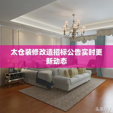 太仓装修改造招标公告实时更新动态