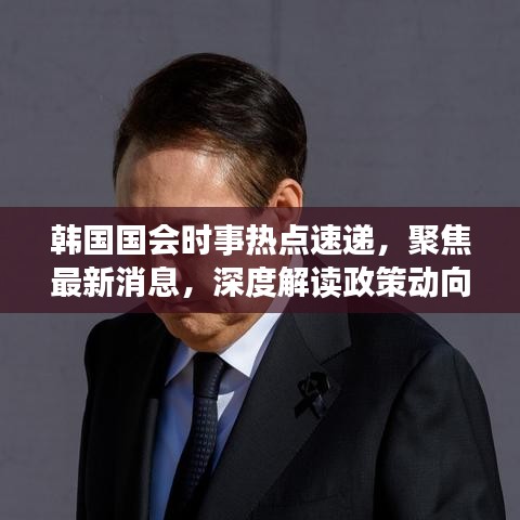 韩国国会时事热点速递，聚焦最新消息，深度解读政策动向