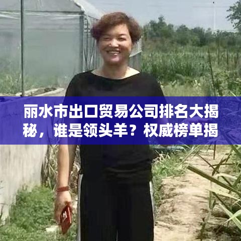 丽水市出口贸易公司排名大揭秘，谁是领头羊？权威榜单揭晓！