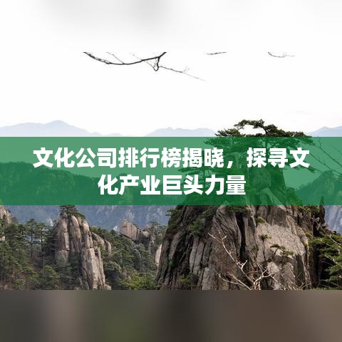 文化公司排行榜揭晓，探寻文化产业巨头力量