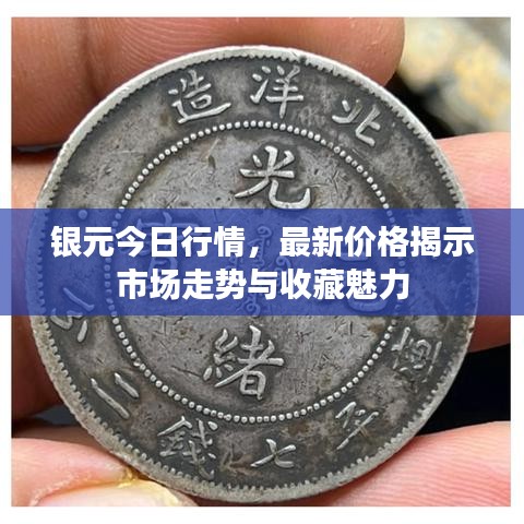银元今日行情，最新价格揭示市场走势与收藏魅力