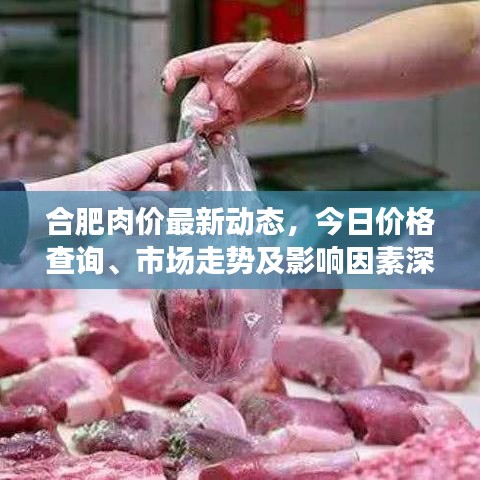 合肥肉价最新动态，今日价格查询、市场走势及影响因素深度解析