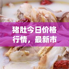 猪肚今日价格行情，最新市场走势与专业分析概览