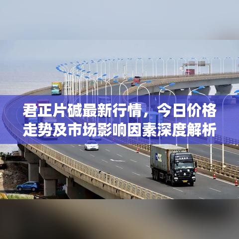 君正片碱最新行情，今日价格走势及市场影响因素深度解析