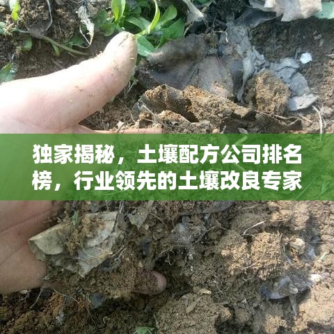 独家揭秘，土壤配方公司排名榜，行业领先的土壤改良专家TOP榜单！