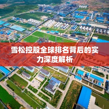 雪松控股全球排名背后的实力深度解析