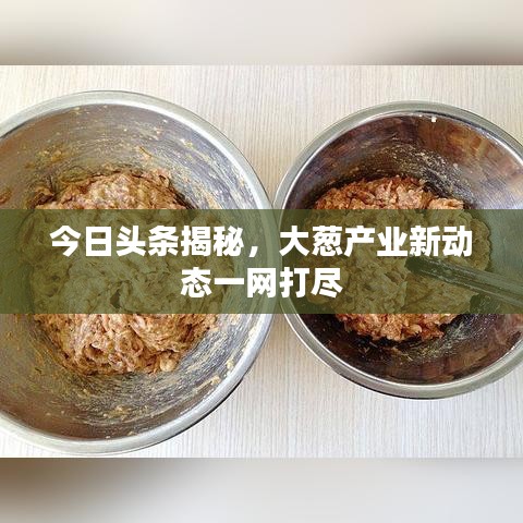 今日头条揭秘，大葱产业新动态一网打尽