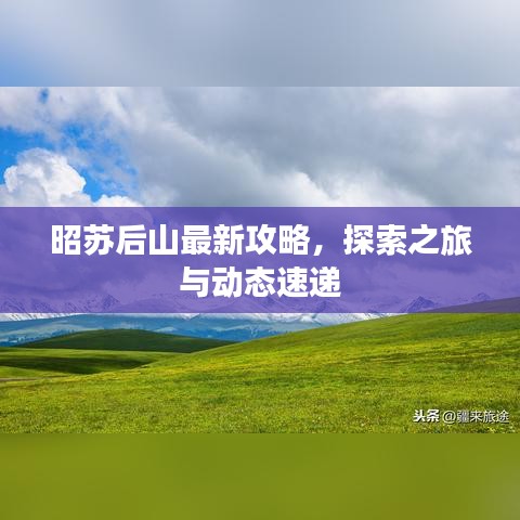 昭苏后山最新攻略，探索之旅与动态速递