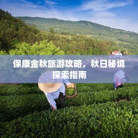 保康金秋旅游攻略，秋日秘境探索指南